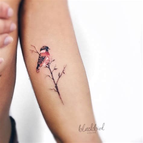 bird and branch tattoo|bird and branch tattoo ideas.